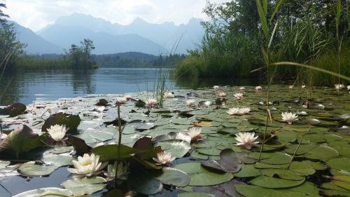 Apartamentos Ferienhaus Alpenzauber