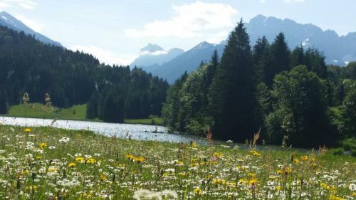 Apartamentos Ferienhaus Alpenzauber