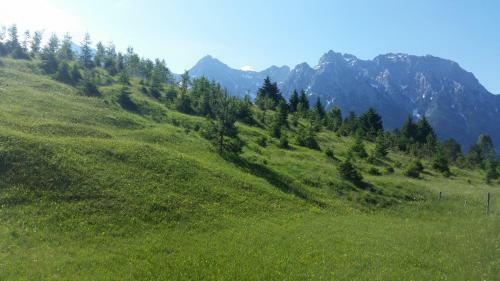 Apartamentos Ferienhaus Alpenzauber