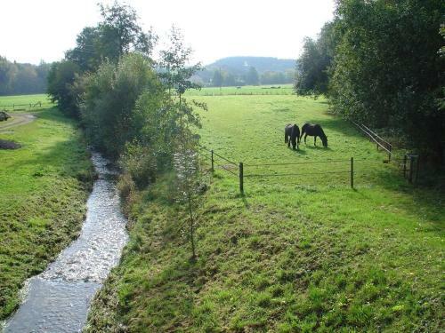 Apartamento Fewo Bergwiese Im Hunsr�ck