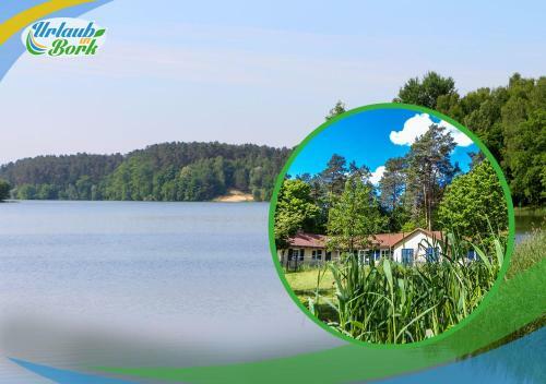 Apartamento Jagd-angler-suite-04-im-wald-am-see