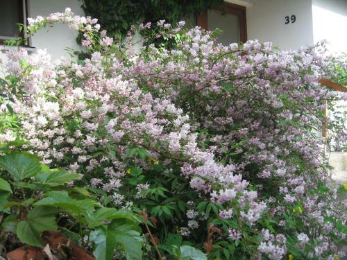 Apartamento Komfortabel Wohnen Am Waldrand Von Pitzling