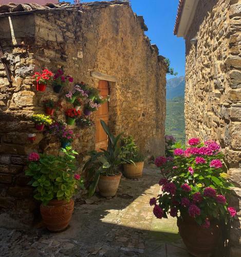 Il Piccolo Giardino