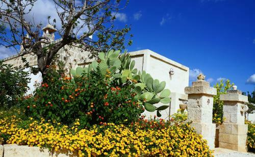 Villa Torretta San Martino