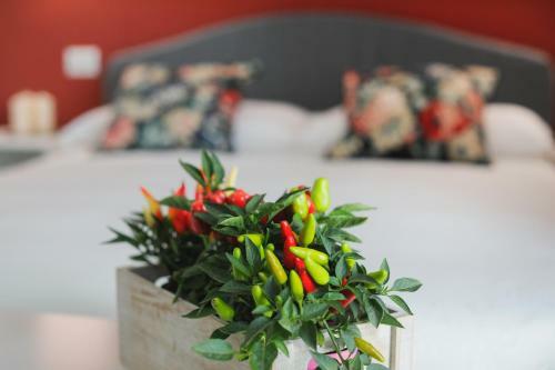 Dimora D'erchia Apulian Holidays