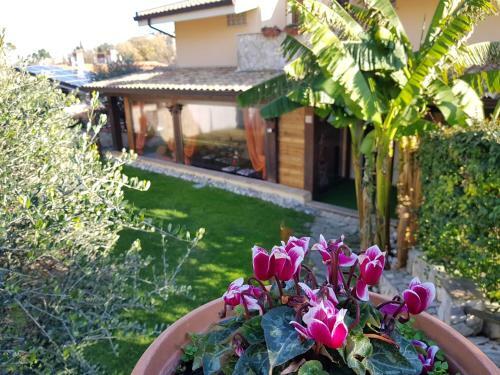 Favola B&B