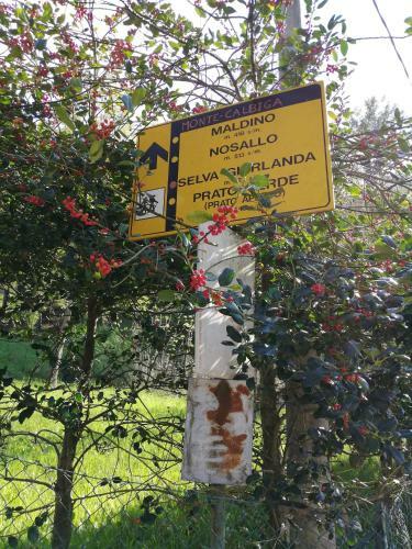 Apartamento Agriturismo Nona Emma