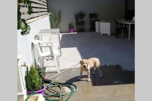 Apartamento Roxy House Relax E Natura