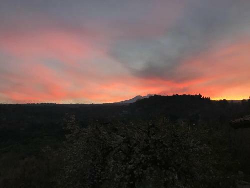 Mandorlo Dell'etna, Casa Siciliana