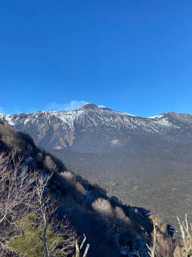 Mandorlo Dell'etna, Casa Siciliana