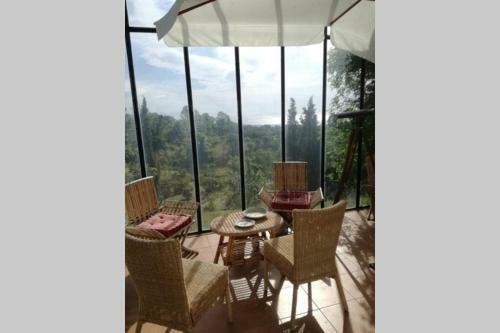 Etnalodge Converted Palmento (sleeps 7, Self-catering)