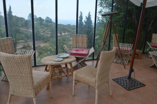 Etnalodge Converted Palmento (sleeps 7, Self-catering)