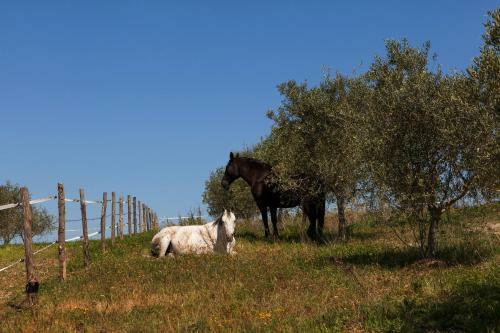 Agroturismo Agriturismo La Collina