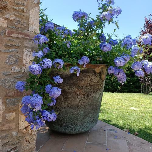 Bed & Breakfast Casale1918