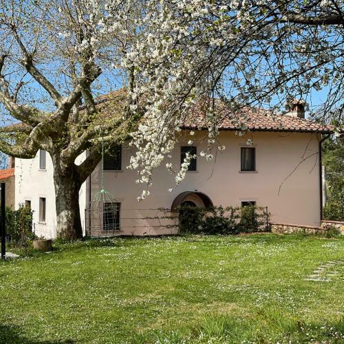 Bed & Breakfast A14 Pietrasanta La Dama Del Bosco
