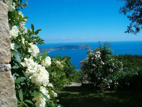 Apartamento Pietra Fiorita