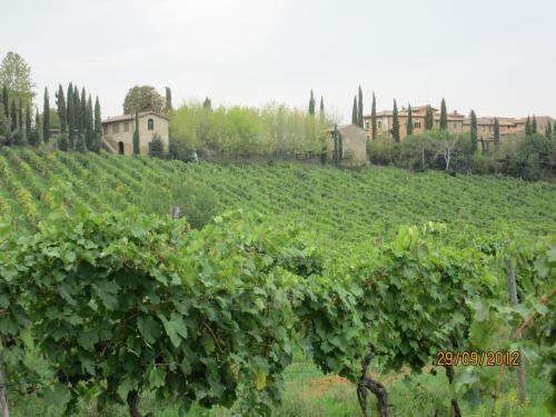 Apartamento Ginestra