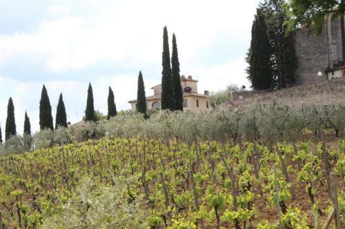 Apartamento Ginestra