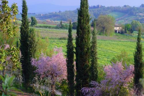 Apartamento Ginestra
