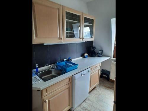 Apartamento Ferienwohnung Greim Vogtland