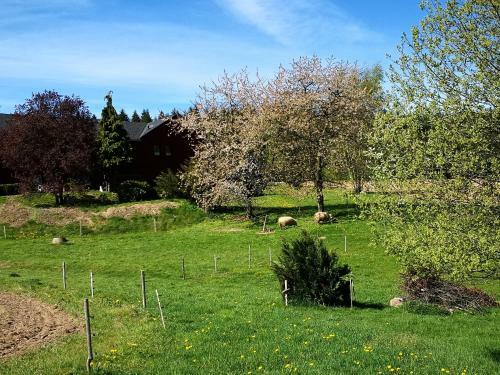 Apartamento Gro�e Ferienwohnungen 5 Und 6 "pumphut's Scheune"