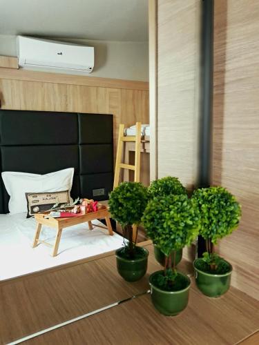 Hotel Allur