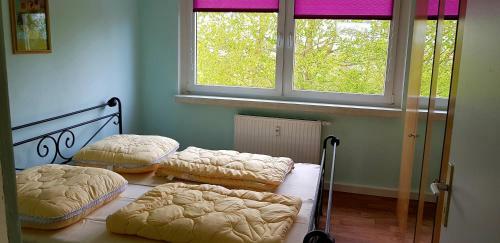 Apartamento Ferienwohnung Oder Monteurunterkunft