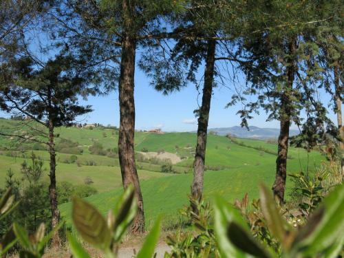 Apartamento Agriturismo Il Palagetto