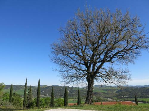 Apartamento Agriturismo Il Palagetto