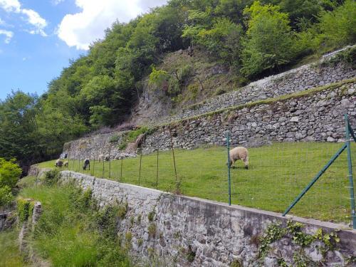 Locazione Turistica Casa Pina