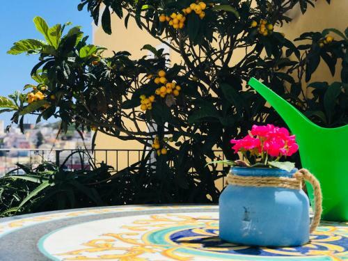 Apartamento Cupola - Immobilevante