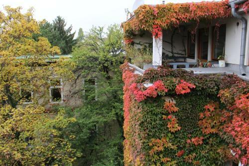 Hotel Wiener Kindl