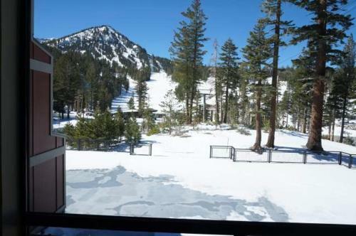1849 Condos At Mammoths Canyon Lodge