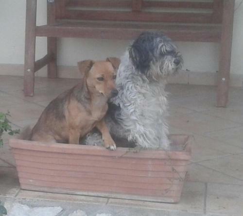 B&B Rolu
