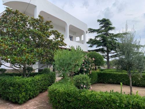 Apartamento Appartamento Cielo