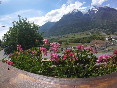 B&B La Mandorla