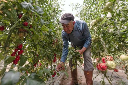 Hostal Calacala Rooms & Farm Experience