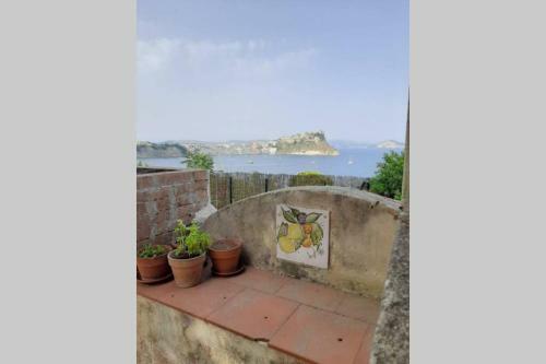 Villa Il Giardino Blu Oltremare - Exlusive Terrace