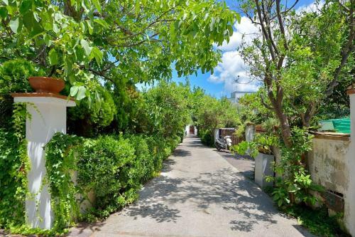 Apartamento Aranceto 17 - #3- Comfort & Relax