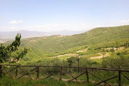 Nest In The Woods - Nido Nel Bosco