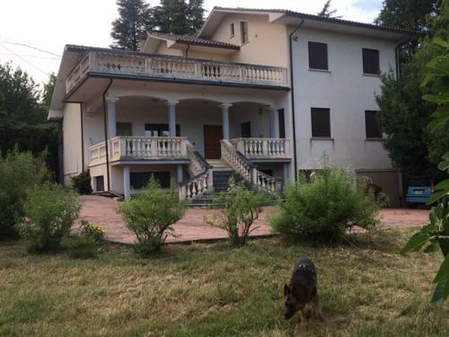 Villa Di Nonno Remo