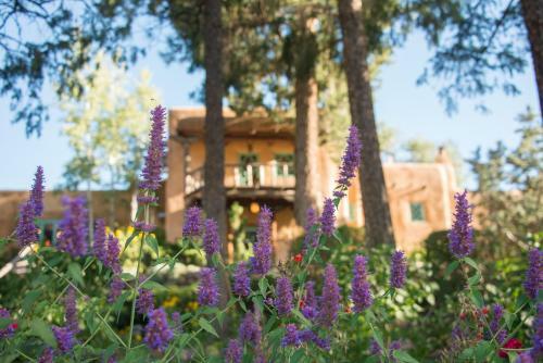 Inn Of The Turquoise Bear Bed And Breakfast