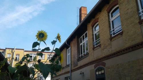 Apartamento Klassmo G�stehaus
