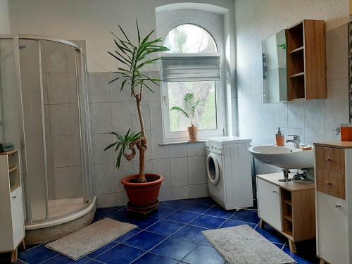 Apartamento Fewo Rosenbl�te Am Stadtpark