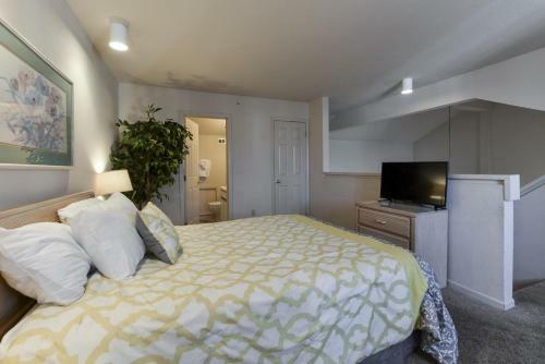 Apartamento Bella Restare