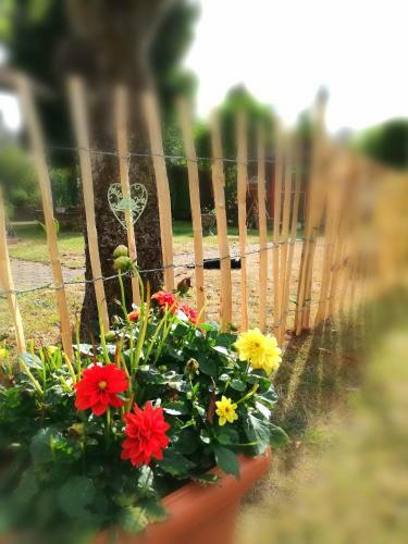 Apartamento Ferienwohnung Konz