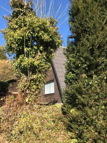 Ferienhaus Erlenwald Mit Pelletofen Und Sauna