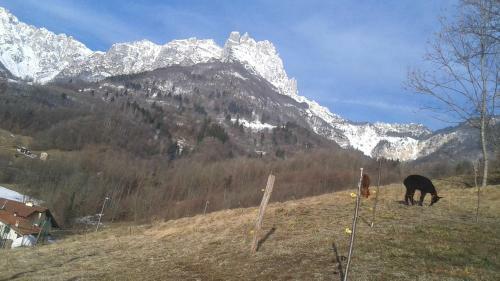 Casa Da 2 A 7 Posti Nelle Piccole Dolomiti