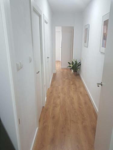 Apartamento Piso Turistico/vacacional Lm