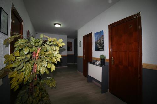 Hostal Restaurante Avenida De Madrid